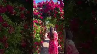 цыганская милота #2024