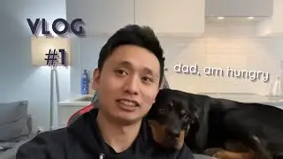 Day In The Life: Rottweiler Dog Dad