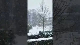 Метель