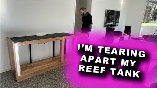 I Tore Apart and Rebuilt My Reef Tank!
