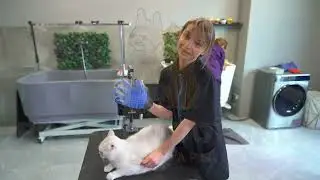 Обзор продукции для бренда "PROFI GROOMING"