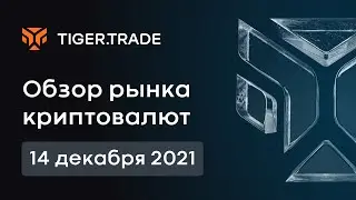 Обзор рынка криптовалют 14.12.2021