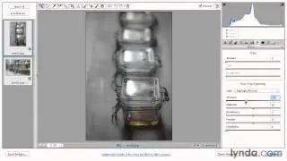 Processing multiple files in Camera Raw - Adobe Photoshop Essential