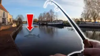 We Caught Our TARGET FISH!