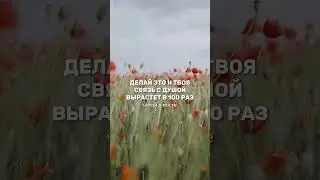 читай закреплённый комментарий 👉 #эзотерика