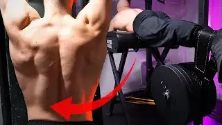 Reverse Hyperextension Training Secrets