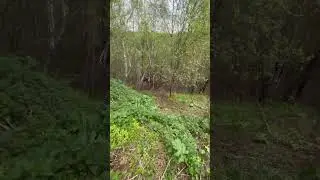 Прохват с Романом Курбатовым!!