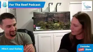 For The Reef Podcast Ep. 16 - Tales from the Wife of a Fish Guy