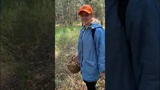 🤭я ещё тот грибник