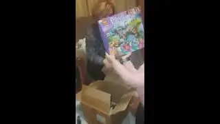 новый год