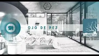 91. Ojo de pez.