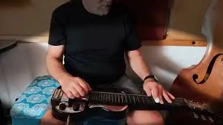 You’ve Got A Friend In Me (Toy Story) on lap steel
