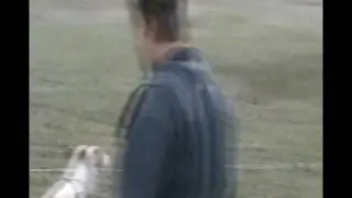 мех.заяц