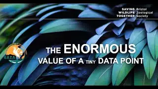 The Enormous Value of a Tiny Data Point