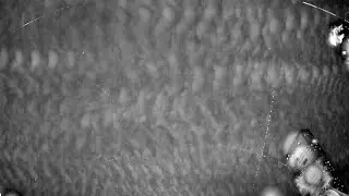 RMS BR0012 20240119 210604 546710 timelapse
