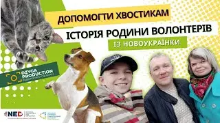 Допомогти хвостикам.  Історія родини волонтерів із Новоукраїнки