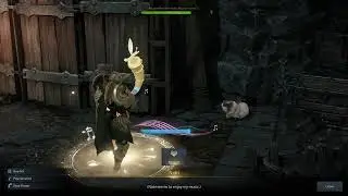 Lost Ark Rapport