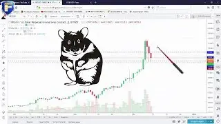 Тени хомячков | Короткие заметки
