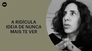 A RIDÍCULA IDEIA DE NUNCA MAIS TE VER | MARIA HOMEM