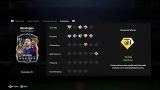 FC24: 90+ TOTS Upgrade SBC Solution- Free Palestine!