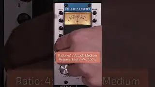 Bluey 500 Audio Demo: Acoustic Guitar #shorts