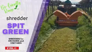 Spit Green STANDARD