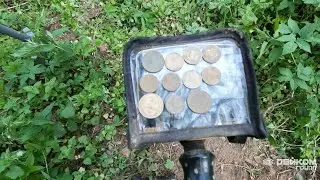 Лесной шурф с Garrett Apex