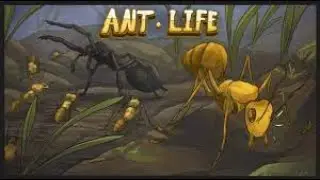 ✔Выживание в Ant Life в Роблоксе с Kr1styy✔