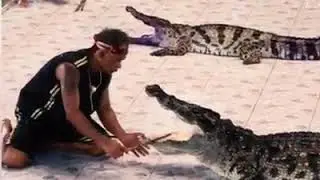 Tüm Zamanların En Korkunç Sirk Kazaları