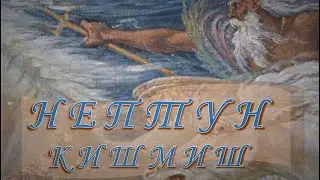 Нептун виноград