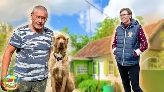 МЫ НЕ ЗНАЛИ, что всё ТАК ПРОСТО! Как ЗАСТАВИТЬ плодоносить фруктовые деревья?