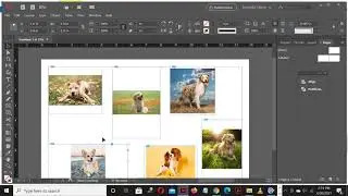 INDESIGN Auto Fit Options