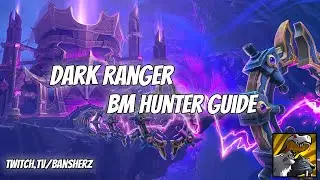 Dark Ranger BM Hunter Complete Guide (The War Within Patch 11.2)