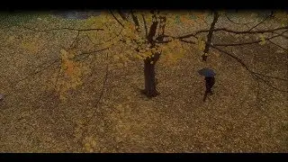 Пара Совпала - Осенняя