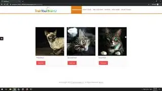 Hide Dripped MemberMouse Posts in WPBakery Visual Composer