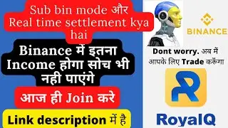 What is Sub bin and sub bin real time settlement mode in Royal Q