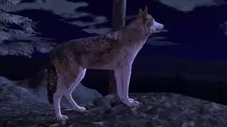 Ultimate Wolf Simulator 2, By Gluten Free games