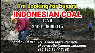Indonesian Coal GAR 3400-6000 Up