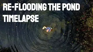 Refilling a Huge Pond Timelapse - Creating a Nature Habitat for the Insects