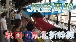 【盛岡駅】秋田・東北新幹線の発着や連結・分割シーン 2020/8/16