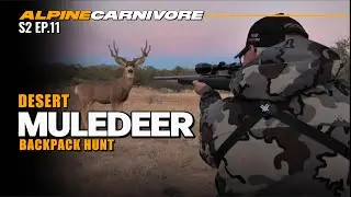 BIG MULE DEER HUNT | BUCK OF A LIFE TIME