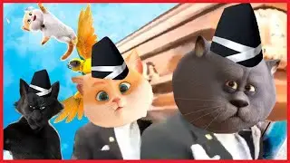 Cats & Peachtopia - Coffin Dance Song COVER