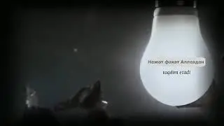 Жаннатдаги Кушни