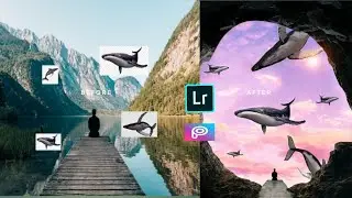 PicsArt Whale Photo Manipulation | Picsart Photo Manipulation Tutorial | Picsart Editing | ChrisTV