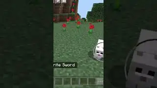 Minecraft Fun Fact of the Day #shorts