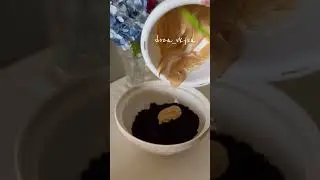 Любимые пирожные родом из детства в новом формате /Просто/Вкусно