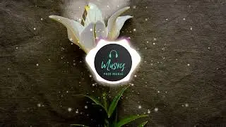 Julius Dreisig - Invisible