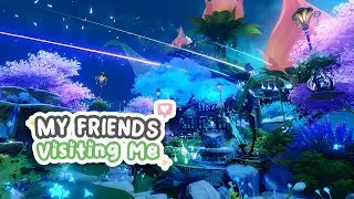 Playdate with Teapot's Friends | Serenitea Pot | Genshin Impact