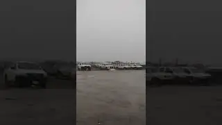 Fog in Riyadh KSA