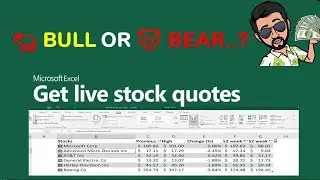 🐂 Bull or 🐻 bear ? Get Live Stock And Shares Quotes In Excel | Excel Automation|  